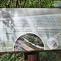 P1198663.jpg