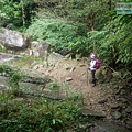 P1198664.jpg
