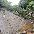 P1198665.jpg