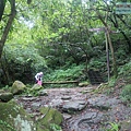 P1198666.jpg