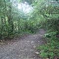 P1198667.jpg