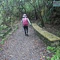 P1198668.jpg