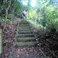 P1198677.jpg