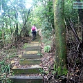P1198689.jpg