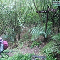 P1198691.jpg