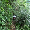P1198695.jpg