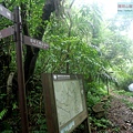 P1198698.jpg