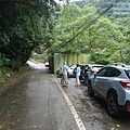 P1199490.jpg