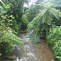 P1199502.jpg