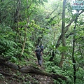 P1199527.jpg