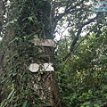 P1209550.jpg