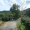 P1209581.jpg