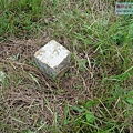 P1209632 (2).jpg