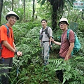 P1209650.jpg