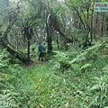 P1209654.jpg