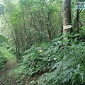 P1209659.jpg