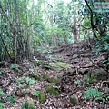 P1210412.jpg