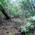 P1210415.jpg