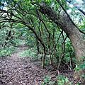 P1210418.jpg