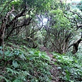 P1210420.jpg