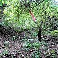 P1210425.jpg