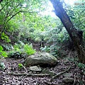 P1210424.jpg