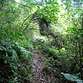 P1210426.jpg