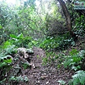 P1210427.jpg