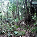 P1210429.jpg