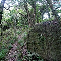 P1210430.jpg