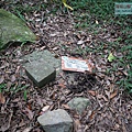 P1210432 (2).jpg