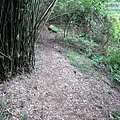 P1210435.jpg