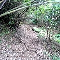 P1210437.jpg
