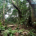 P1210438.jpg