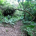 P1210436.jpg
