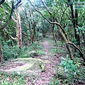 P1210439.jpg