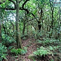 P1210445.jpg