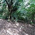P1210449.jpg