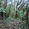 P1210453.jpg