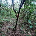 P1210454.jpg