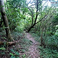 P1210457.jpg