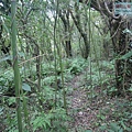 P1210458.jpg