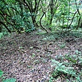 P1210459.jpg