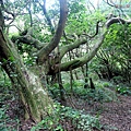 P1210462.jpg
