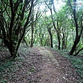 P1210466.jpg