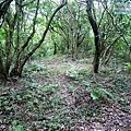 P1210467.jpg