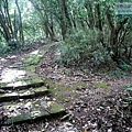 P1210469.jpg