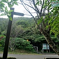 P1210471.jpg