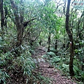 P1210470.jpg