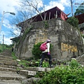 P1210563.jpg